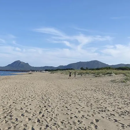 Mimosa 산프리아모