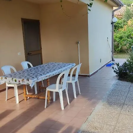 Mimosa San Priamo